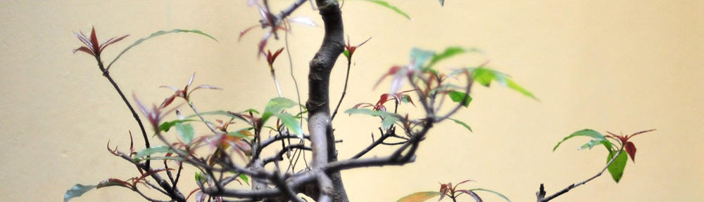 Ревюта на интересни уеб сайтове